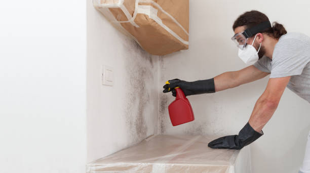 Professional Mold Removal technician working in Bloomington, IL
