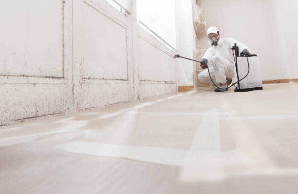 24/7 Emergency Mold Removal experts in Bloomington, IL